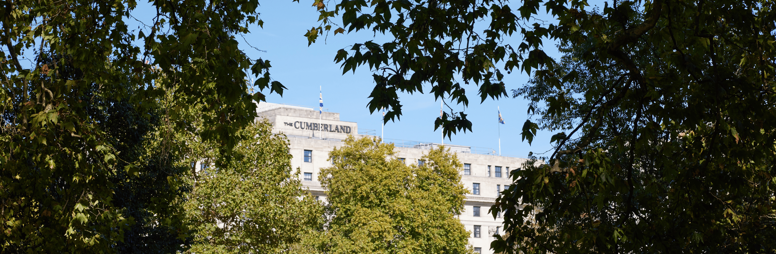 View of the Cumberland Hotel from an opening between trees