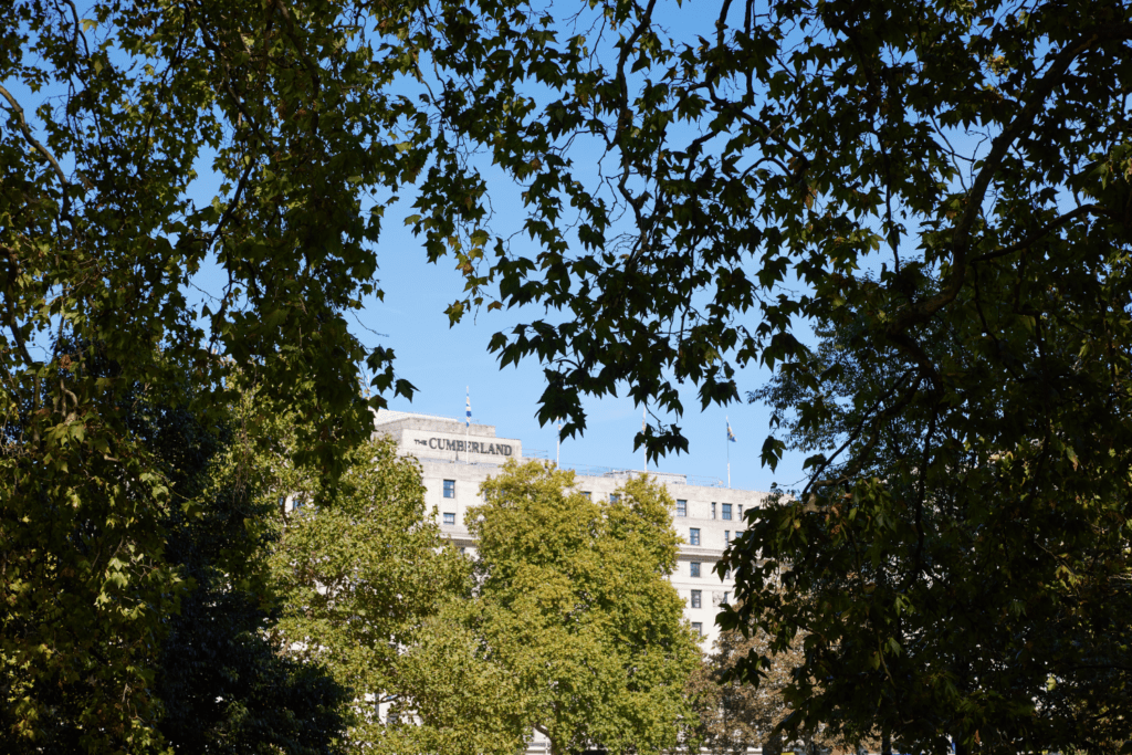 View of the Cumberland Hotel from an opening between trees