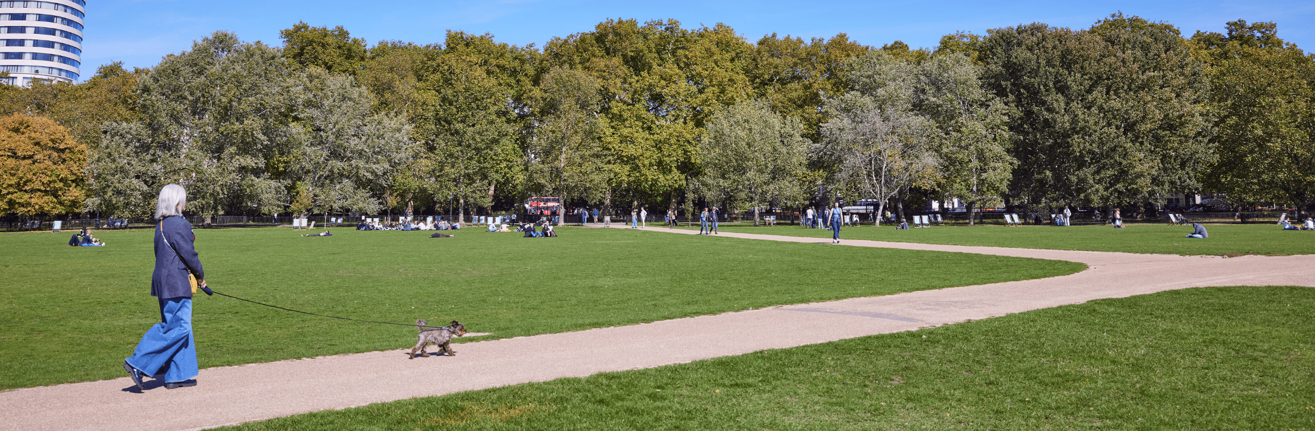 Woman walking dog in hyde park