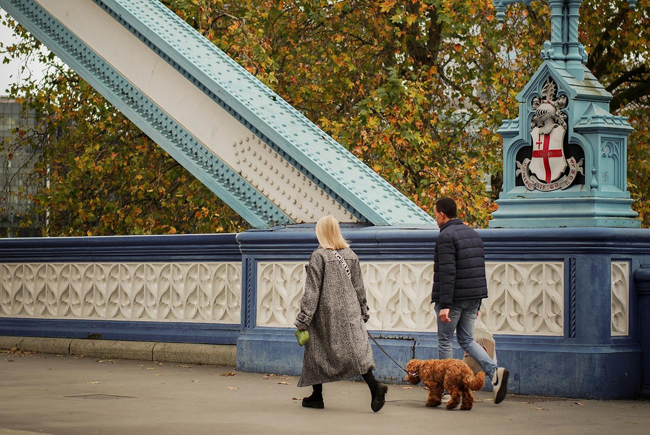 Couple walking along a bridge with a dog