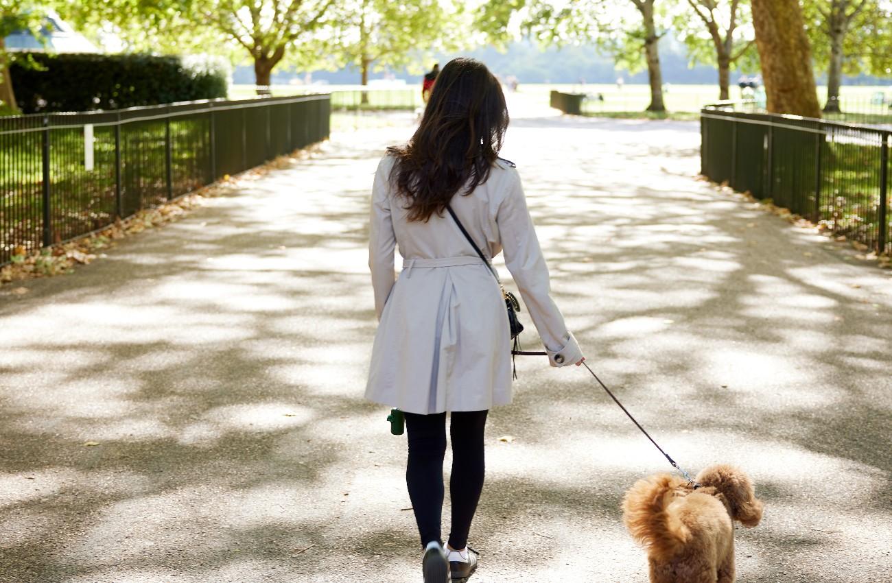 Woman walking a small brown dog along a sunlit park path lined with trees and iron railings.