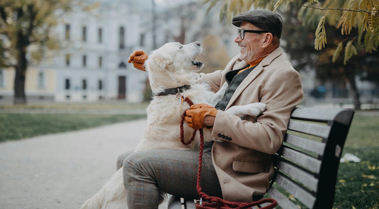 Senior man enjoying a laugh and a cuddle with his dog on a park bench